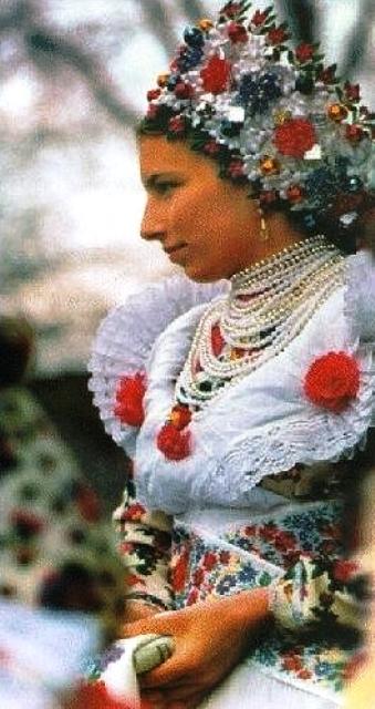 kazar4.jpg