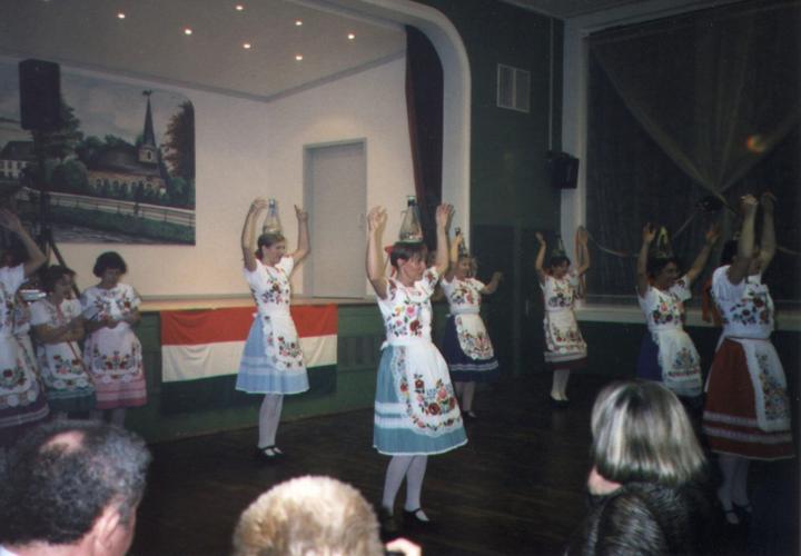 dunantul4.jpg